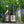 Load image into Gallery viewer, Virtual Sake and Chocolate Tasting Experience: The Experimental Pairing Experience (5 Chocolate Bars | 1 Sake Bottles | Ground Shipping)