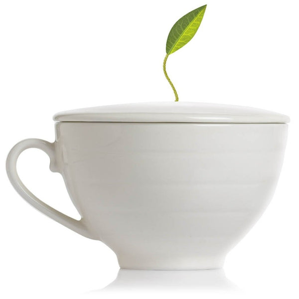 TEA FORTE - CAFÉ CUP BONE WHITE